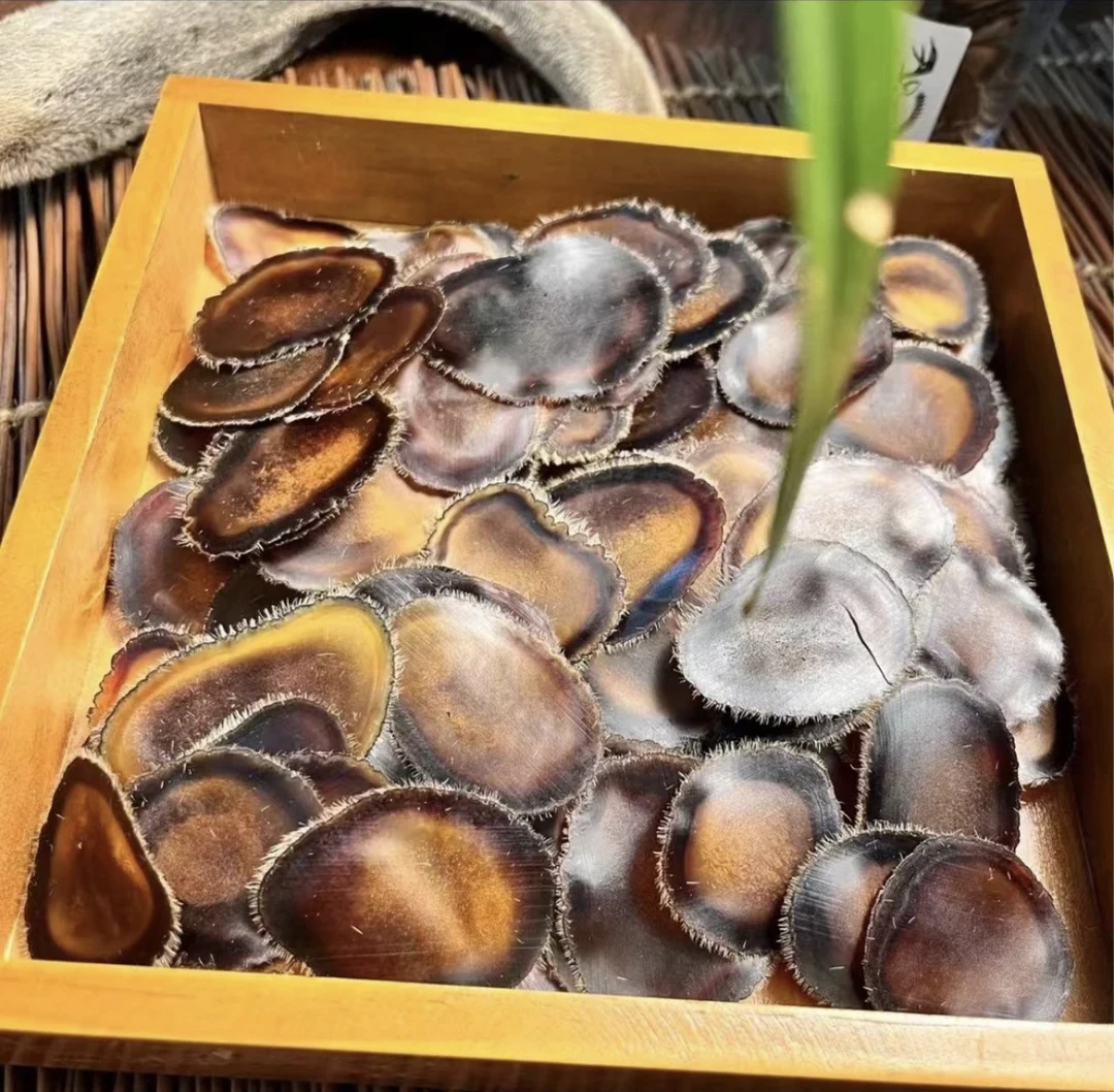 缅山土特产 正宗  麓茸  10克/20克 煲汤  泡酒  农副产品