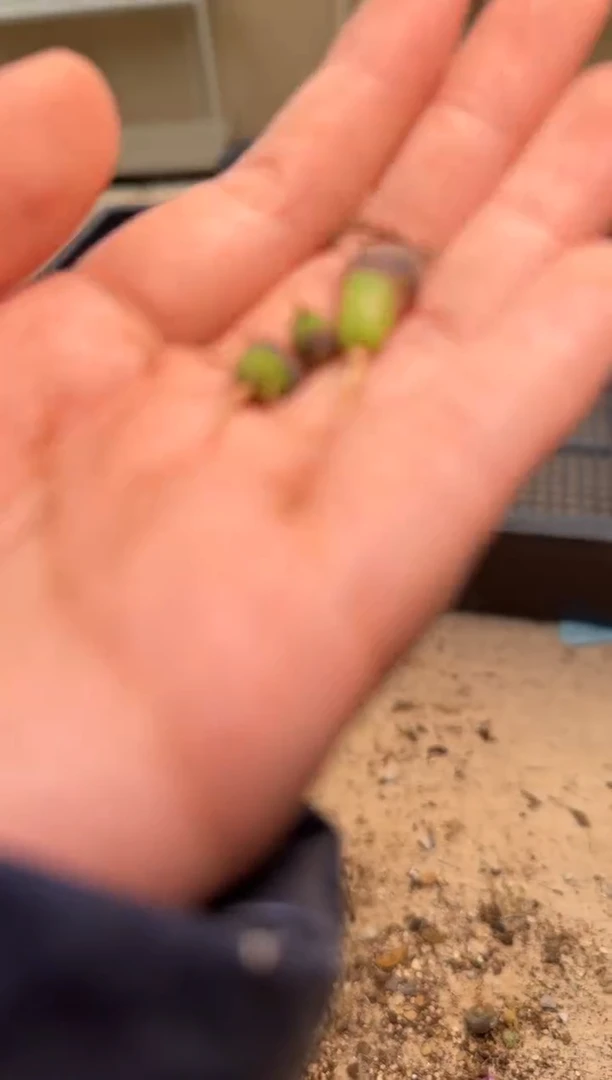 【闪购商品】29-149