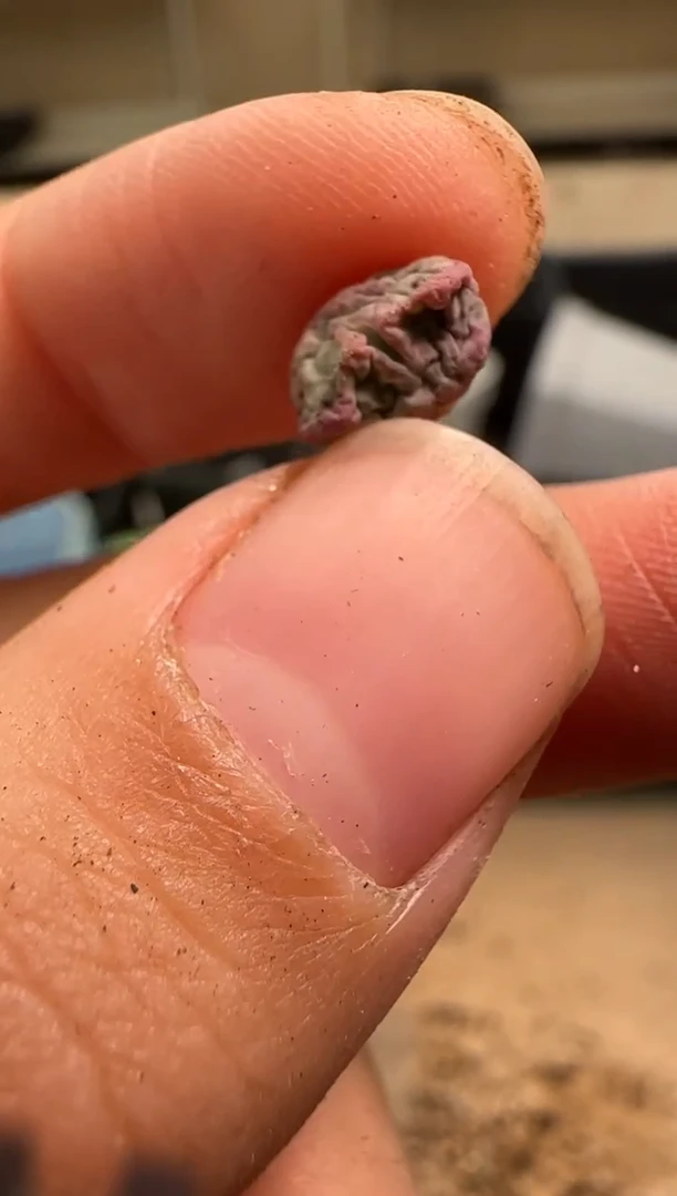 【闪购商品】29-108