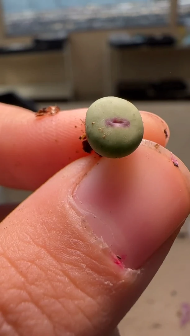 【闪购商品】24-110