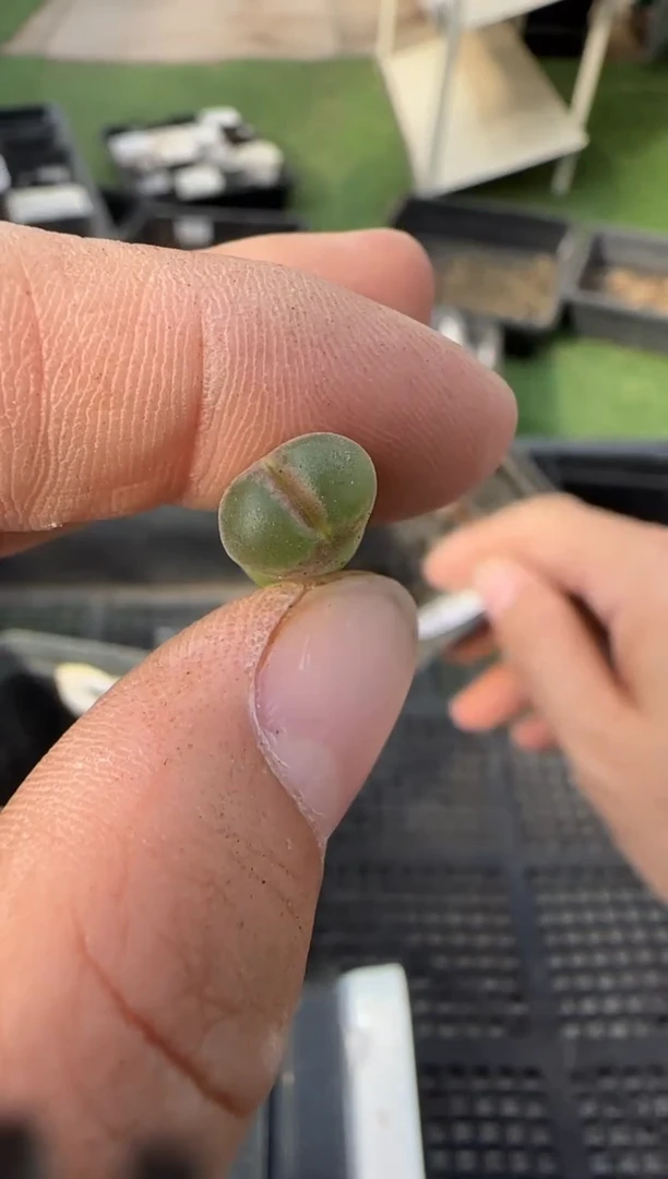 【闪购商品】1-109