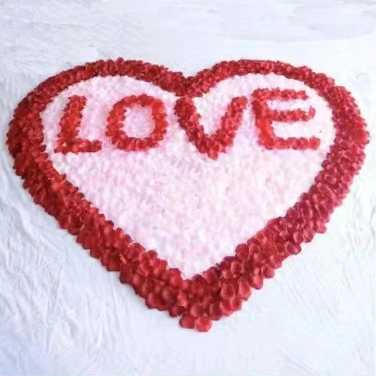 花瓣花瓣花瓣花瓣花瓣