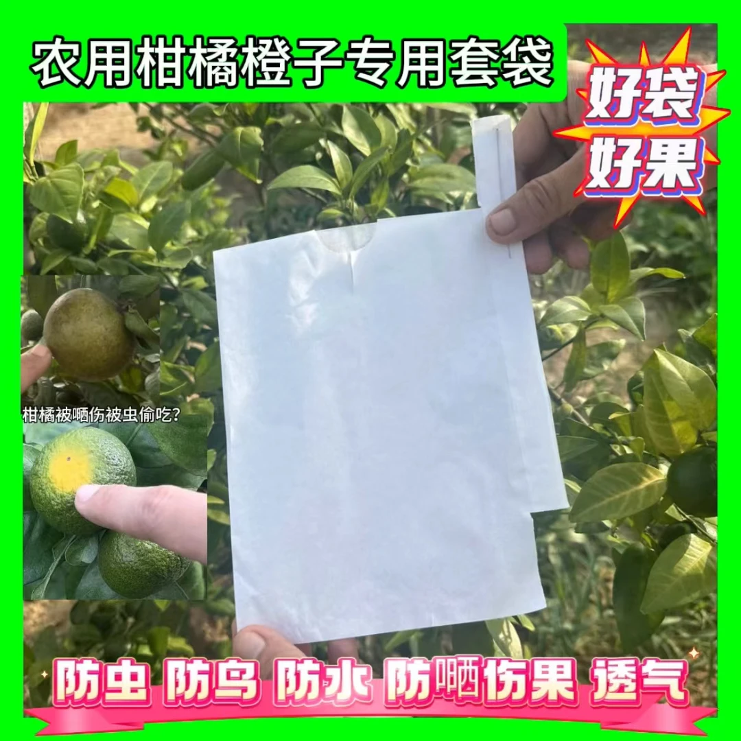 柑橘套袋专用袋桔子红美人橙子袋沃柑不知火春见丑橘爱媛脐橙纸袋