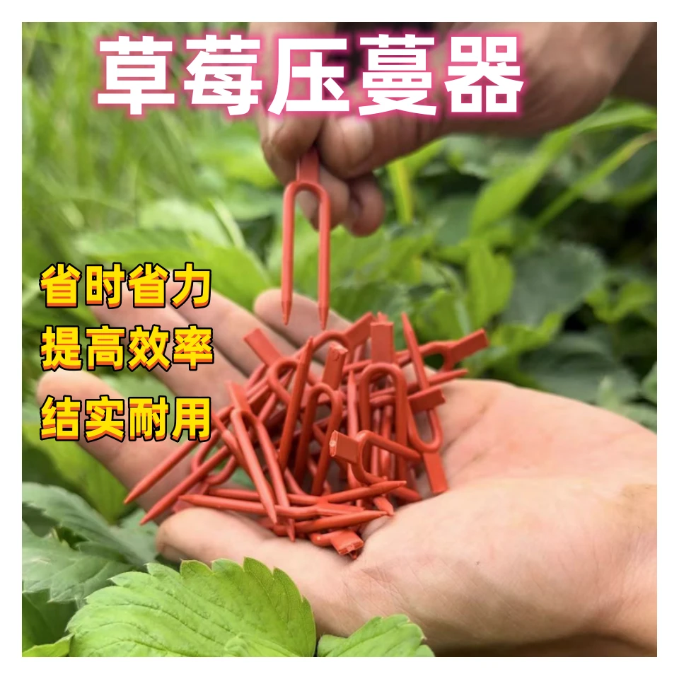 草莓叉子压苗大棚西瓜叉育苗叉固定叉压蔓器卡子农用种植塑料叉子