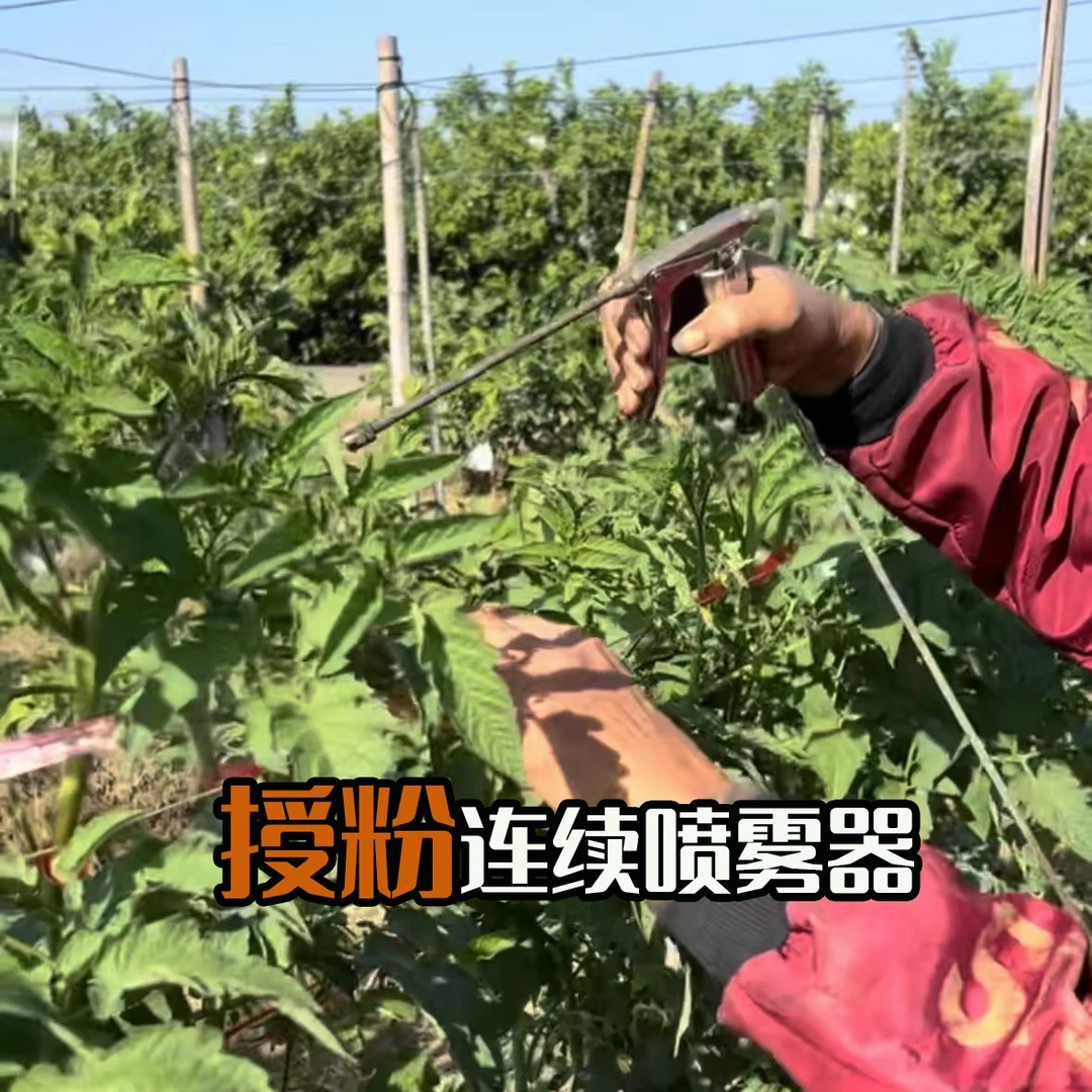 连续喷雾器可调节养蜂用喷药器大棚蔬菜西红柿授粉喷水器点花神器