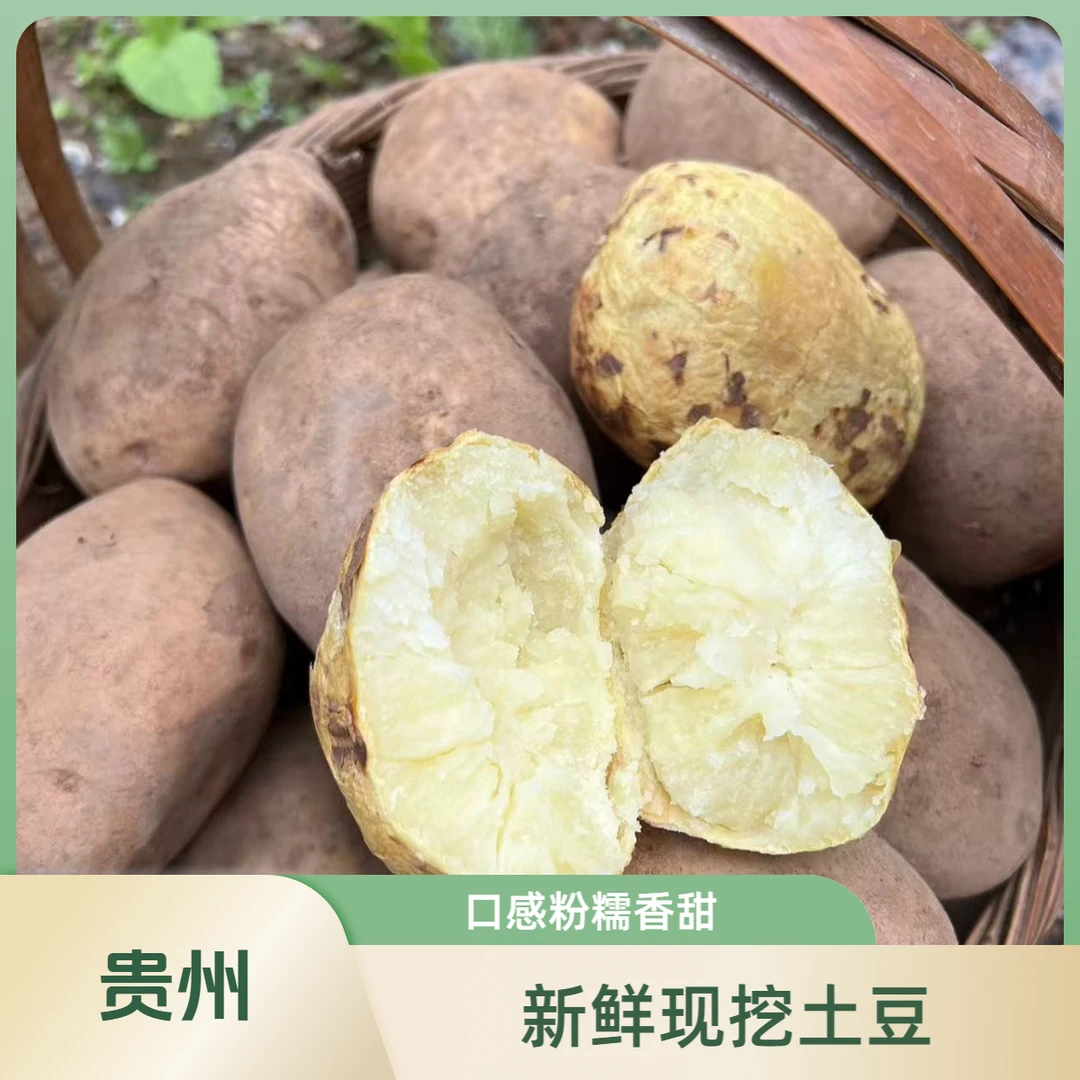 【罗芳芳专享】贵州本地黄皮黄心洋芋