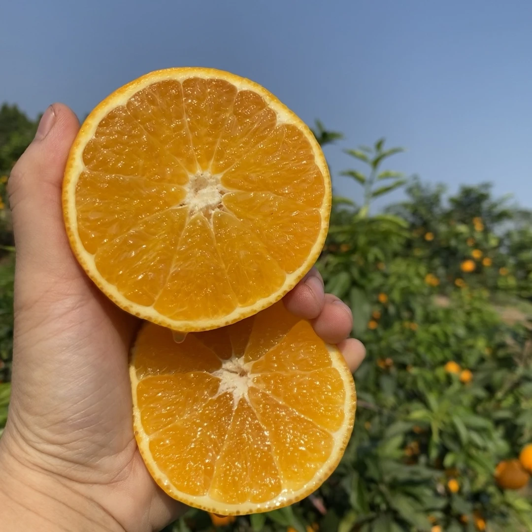 【顺丰快递】果冻橙新鲜甜8分爆汁爽口阳光天然皮薄4/5/7斤