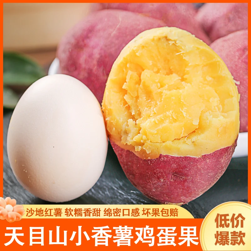 桂久馨鸡蛋果5斤装临安天目山沙地红薯小香薯新鲜农产品地瓜番薯