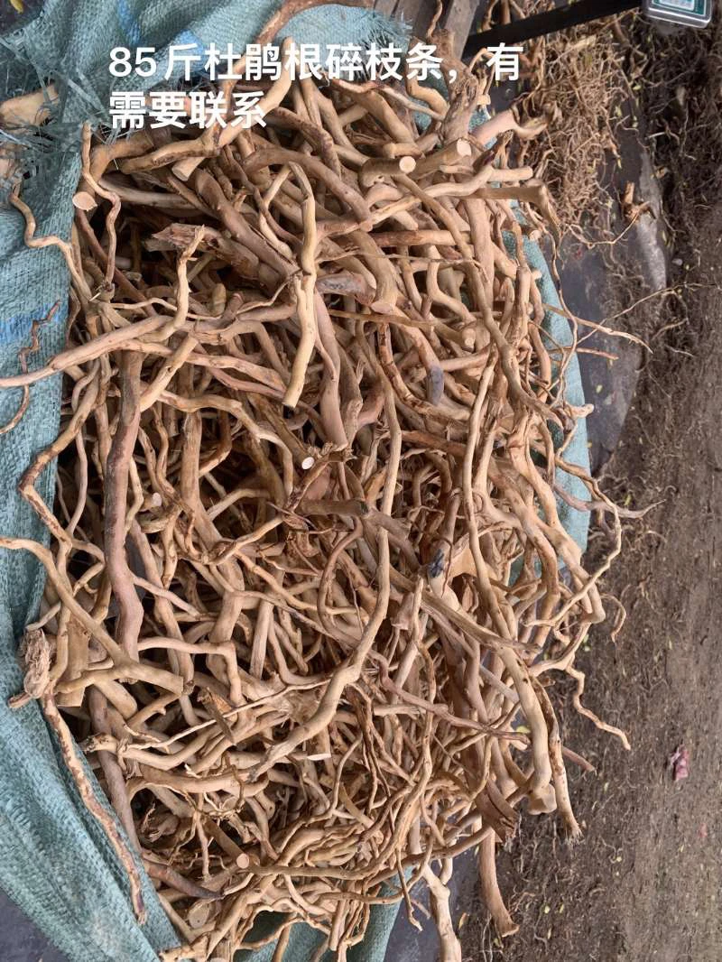 杜鹃根枝条造景批发量大可谈尺寸大小需要的联系客服随机发货