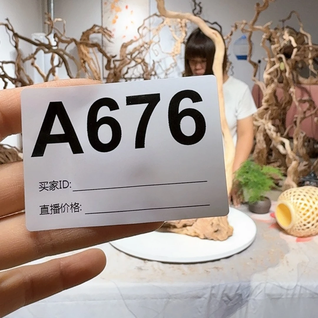 风车木（黑檀木）~*～