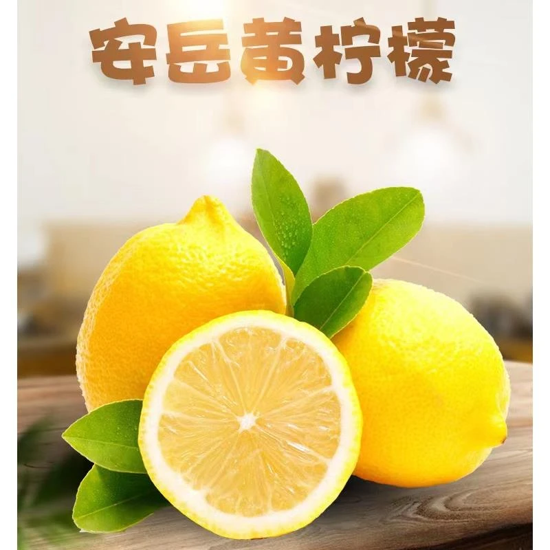 当季四川正宗安岳黄柠檬皮薄多汁酸甜新鲜奶茶店榨汁泡鸡爪果香