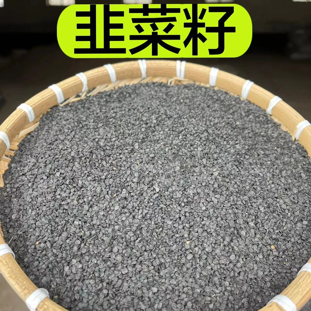 【韭菜籽】精选正品韭菜籽 优质成熟颗粒饱满250克