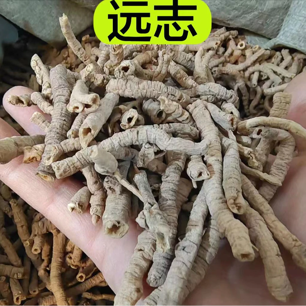[远志]  甘肃产远志  大条精选去芯远志 100克包邮食用        参