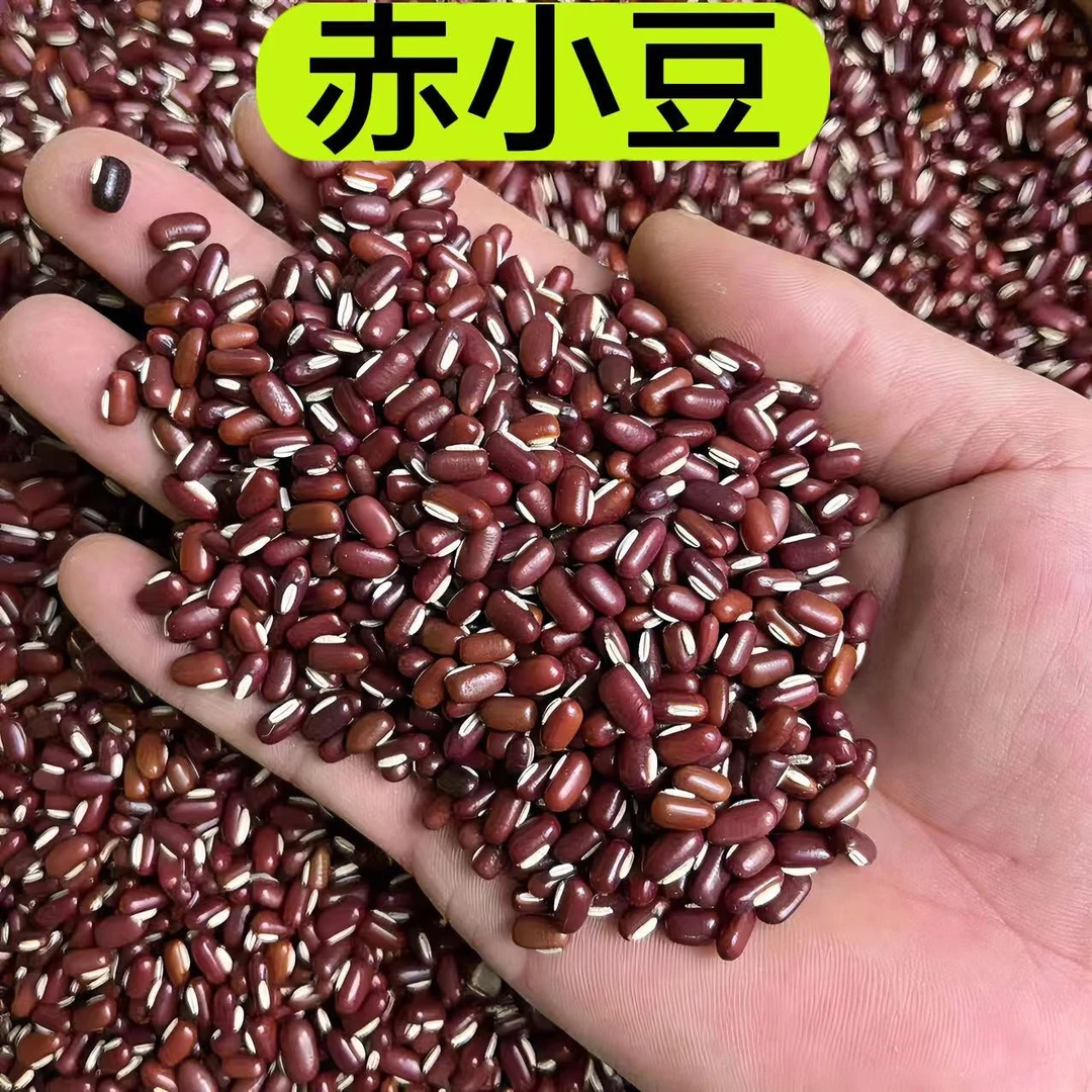 【赤小豆】天然长粒赤小豆饱满均匀农家自产1斤2斤5斤煲粥食用