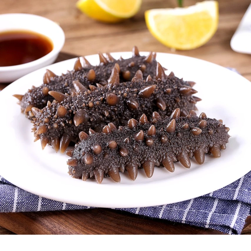 正宗大连辽刺参 鲜食海参（10-12头）买一斤送一斤大连底播 滋补品