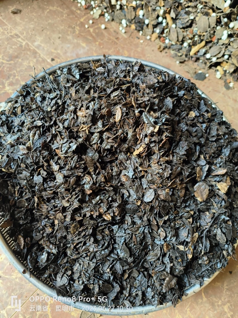 兰花土高温蒸煮小刺栗叶，3公斤一袋包邮，新疆青海，西藏不包邮