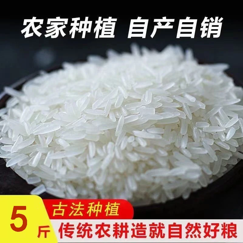 桂林猫牙米阳朔遇龙河人工真空不抛光产地长粒猫牙米猫牙长粒香米