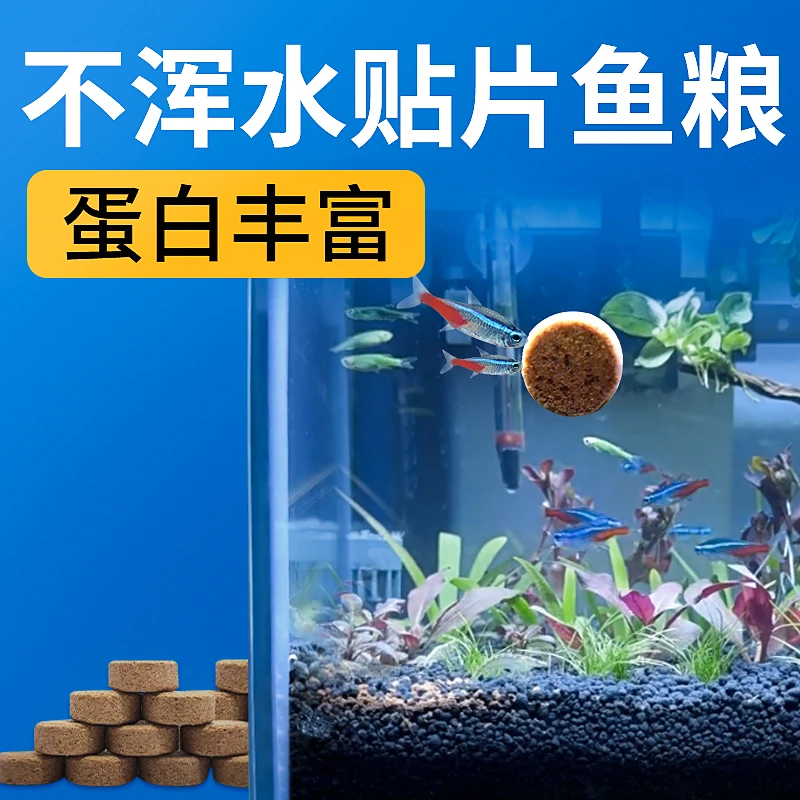 海豚贴片鱼粮粘贴鱼食物大瓶热带鱼食小型鱼饲料草缸鱼粮观赏鱼