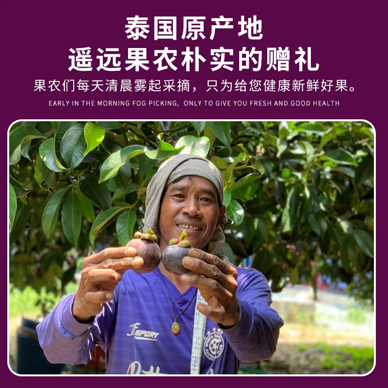 泰国进口山竹新鲜山竹老树麻竹壳丑肉好3/5斤装