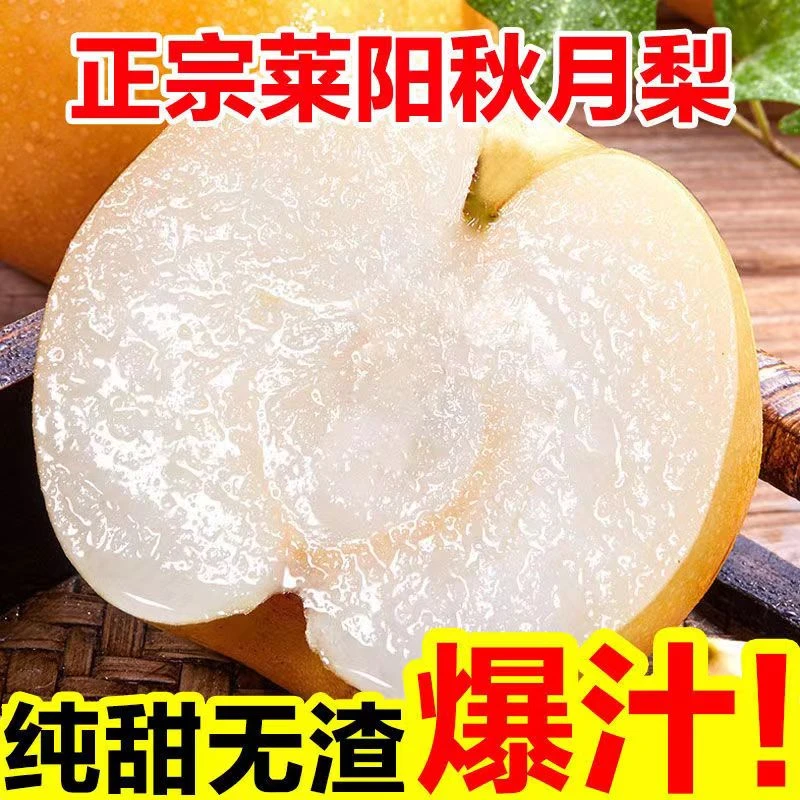 【正宗秋月梨】顺丰发货莱阳正宗新鲜脆甜薄皮超甜梨子细腻山东