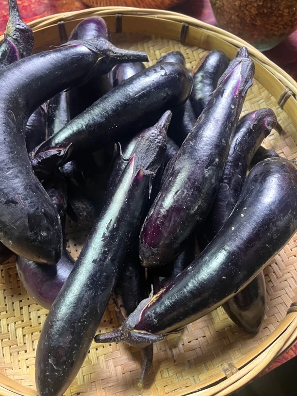 湖南农村高山农户新鲜茄子