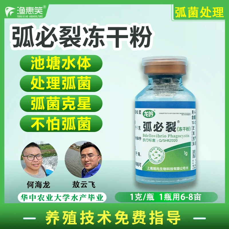 弧必裂弧菌克星弧菌冻干粉防五月瘟烂尾起泡烂壳水体弧菌速清调水