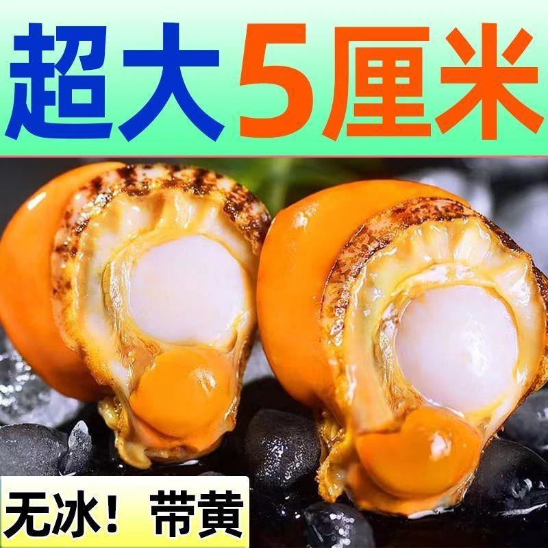 超大号无冰现剥扇贝肉新鲜带黄冷冻去壳海鲜水产特大整箱优质严选