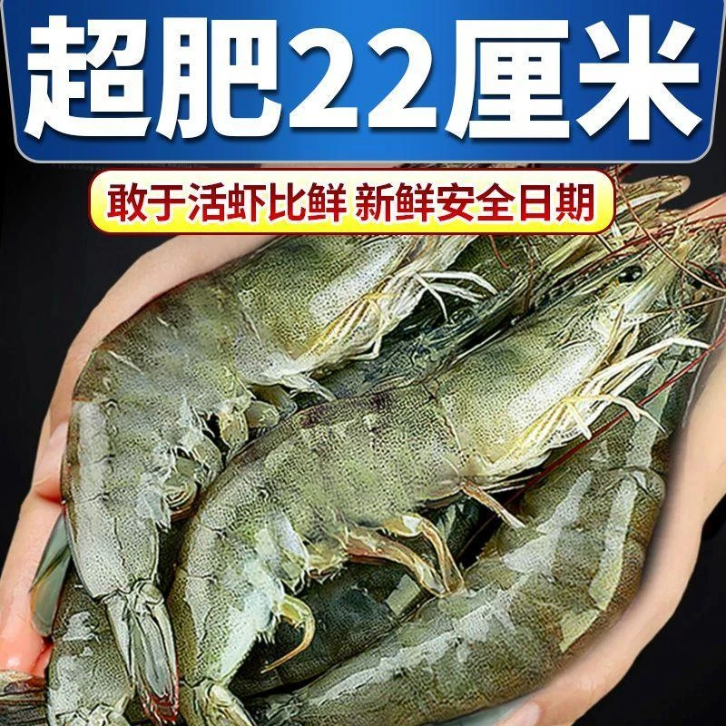 青岛大虾新鲜速冻大号海虾对虾白虾青虾基围虾海鲜批发营养冷冻