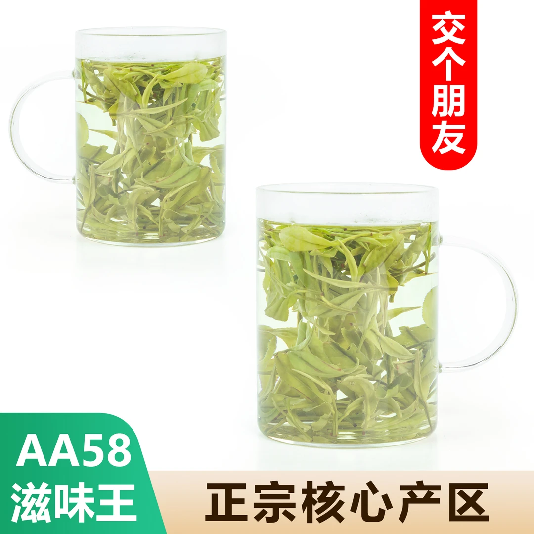 【AA58滋味王】正宗安吉白茶雨前特级浓香耐泡铁罐装品质好茶原产地