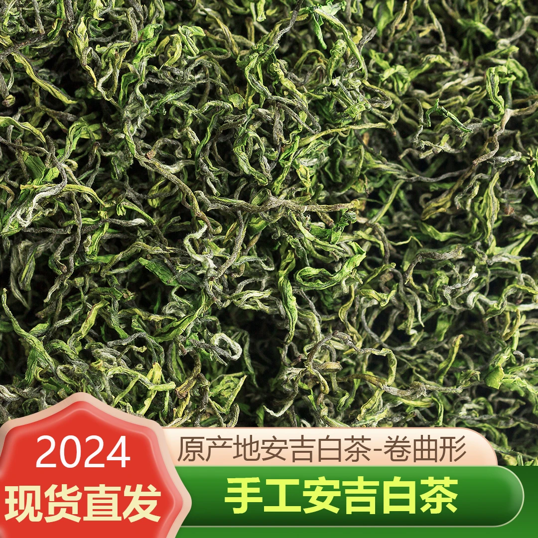 2025新茶手工安吉白茶绿茶茶叶原产地浓香发货好茶品质精选