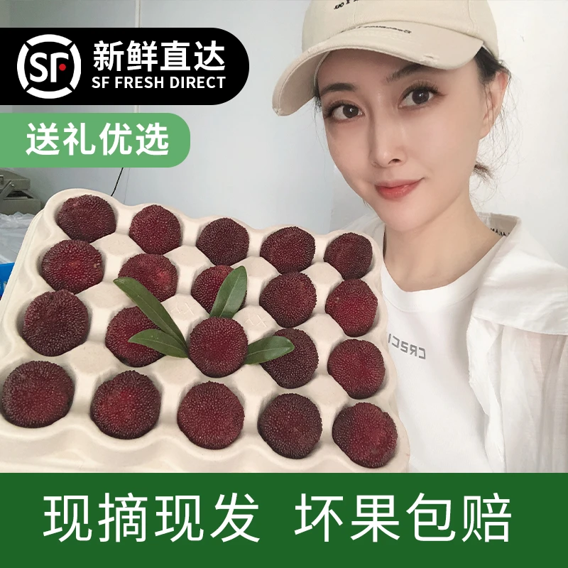 13A 贵族杨梅-仙居正宗【高山东魁杨梅】一果难求定制包装