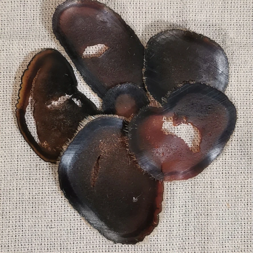 吉林白山土特产代切茸片3克一盒初级农产品拍3盒更划算搭配参片