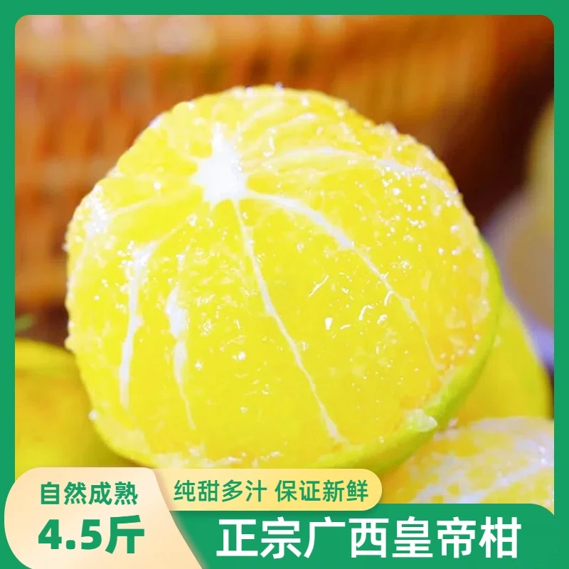 广西皇帝柑4.5斤装/箱口感鲜甜多汁皮薄肉厚营养新鲜水果生态种植