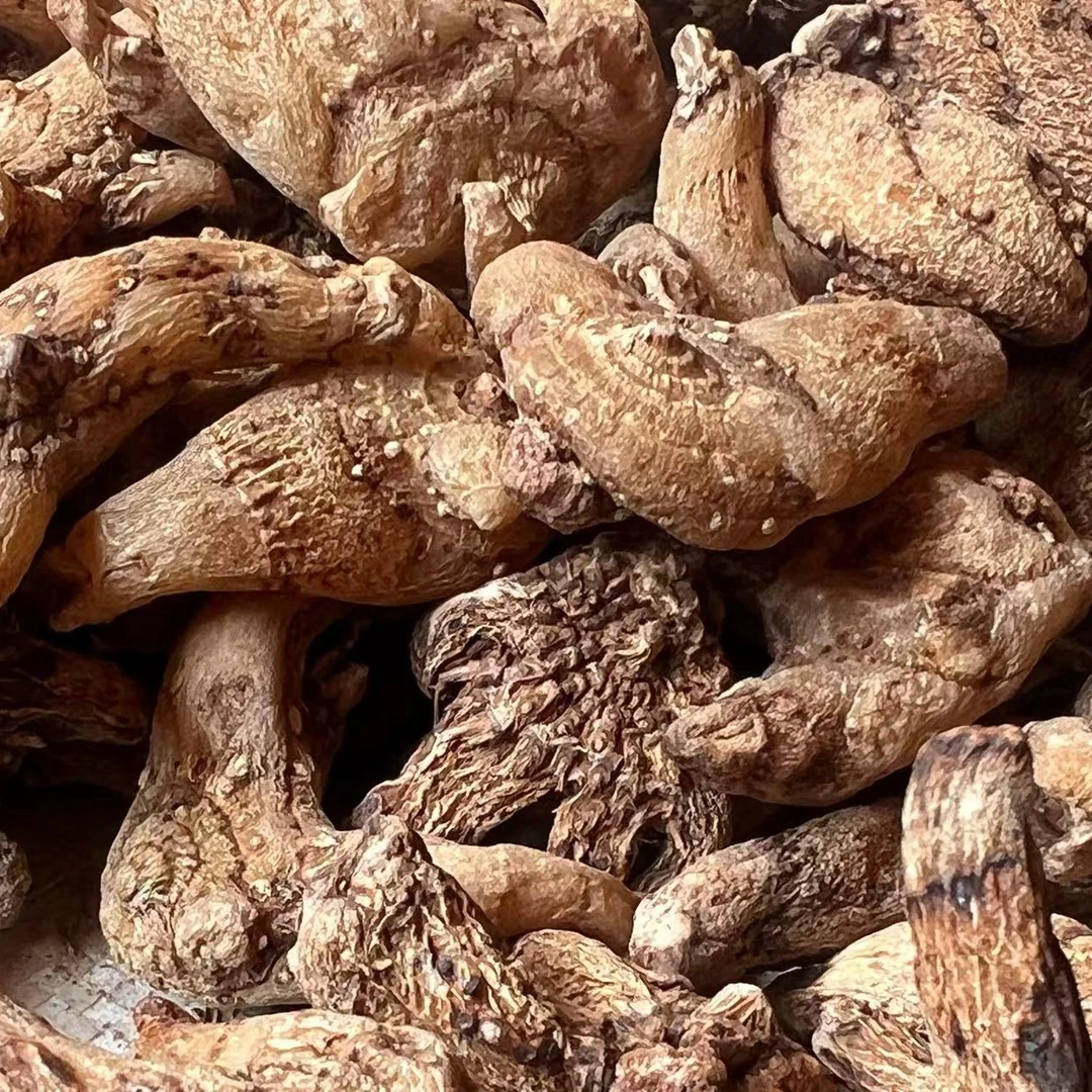 云南深山好物【三手参  白及参  手掌参】