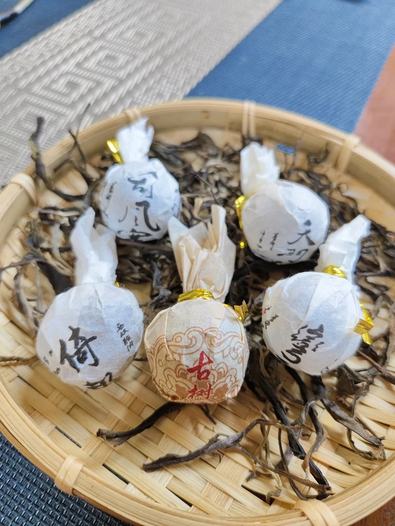 倚邦刮风寨 弯弓 天门山等 五颗龙珠 古树