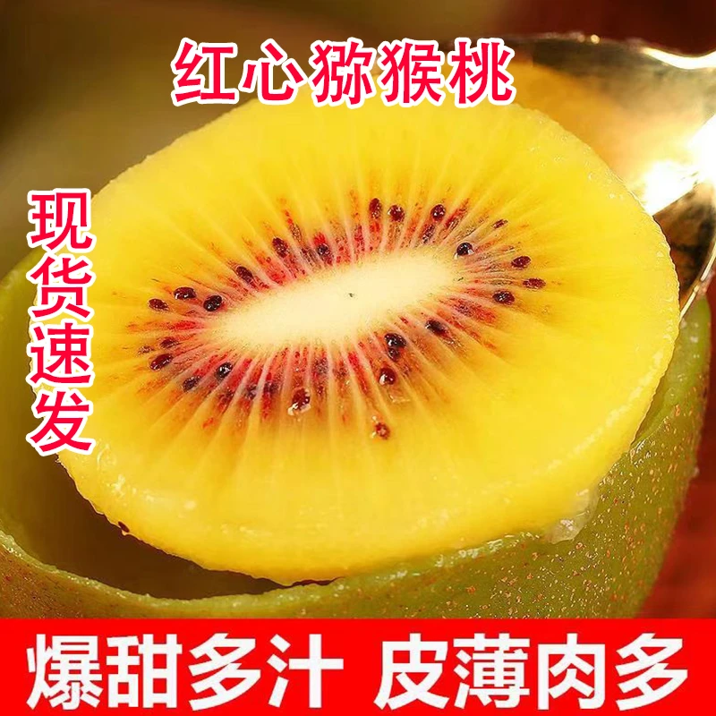 河南西峡猕猴桃红心奇异果当季新鲜孕妇水果产地直发坏果包赔