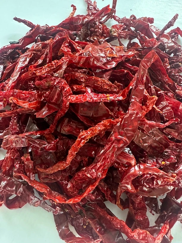 兴平老农场线椒250g（赠品）