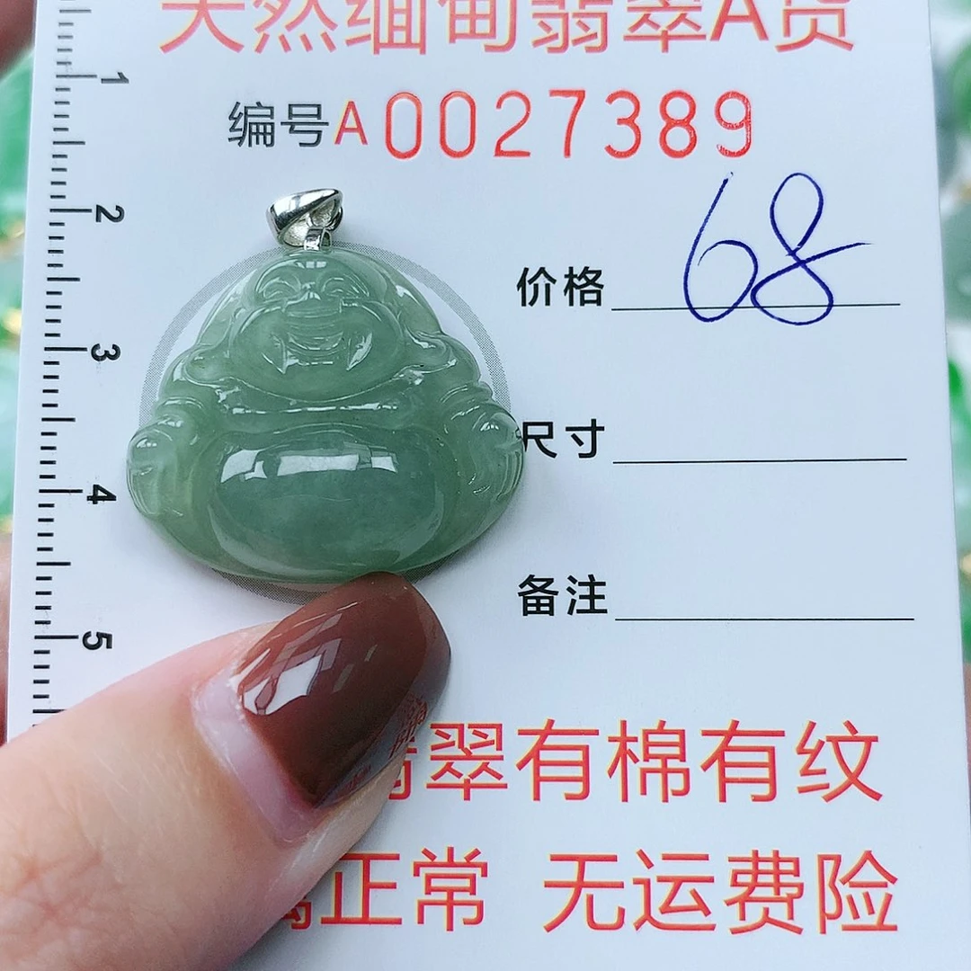 翡翠颈饰银S925镶嵌11111111