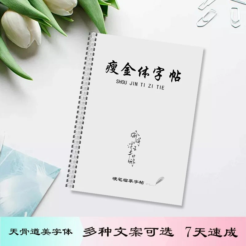 宋徽宗瘦金体央视文案经典语录字体钢笔硬笔临摹练字帖