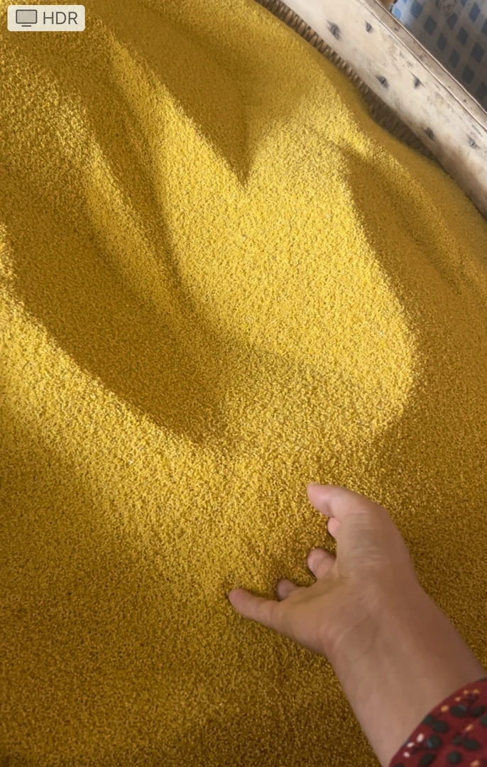 陕北农家新小米