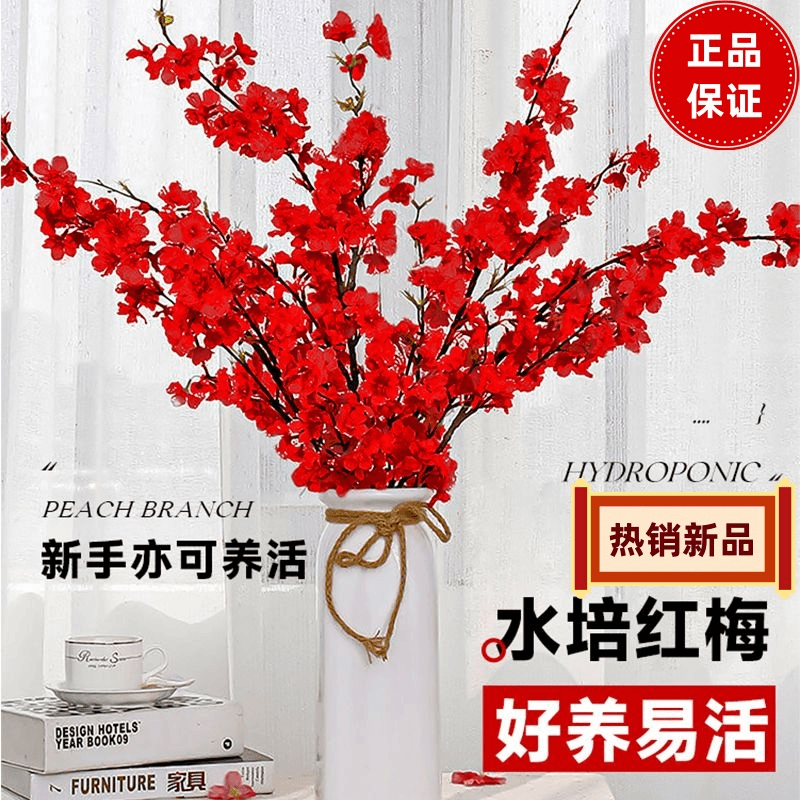 红梅鲜枝鲜花水培干枝条绿植物室内鲜枝遇水养开花卉盆栽干插花支