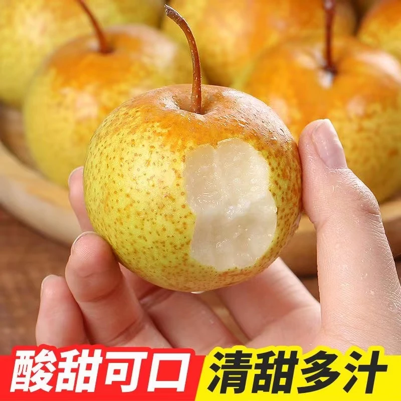 【顺丰包邮】东北花盖梨薄皮秋子梨鞍山特产软梨甜脆可口
