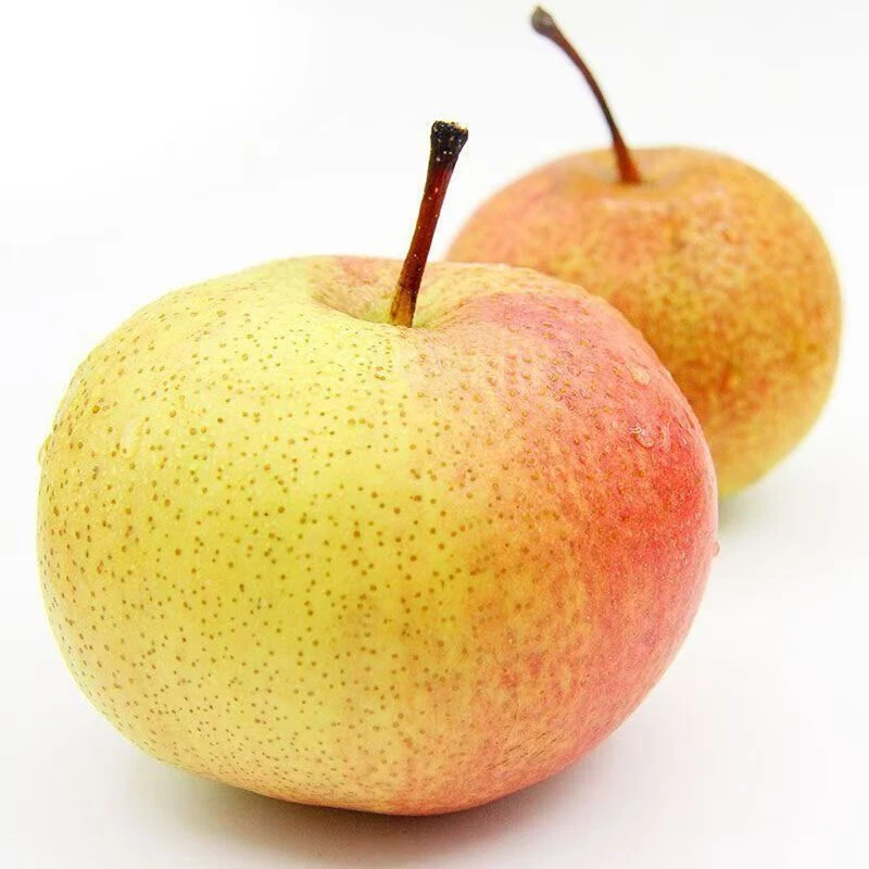 东北苹果梨甜脆多汁新鲜应季水果霜后汁水足顺丰包邮