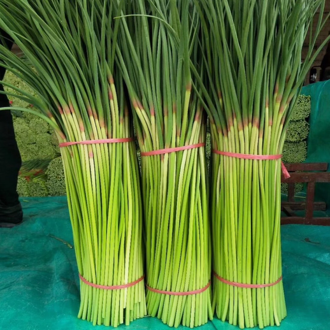 【红帽蒜苔】2025年新鲜头茬蒜苔大蒜之乡青菜农家蔬菜3斤5斤