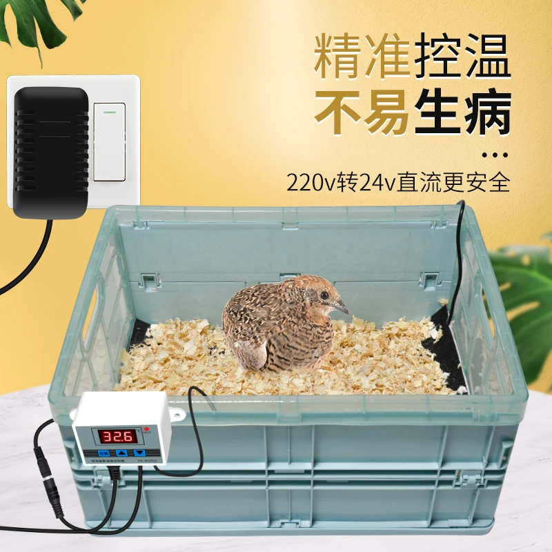 鹦鹉保温箱雏鸟幼鸟孵化手养鸟保温箱保暖箱小型恒温迷你育雏用品