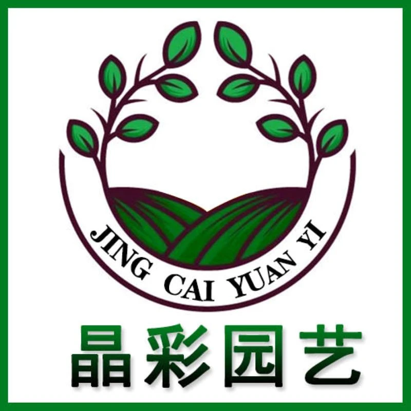 （满18元包邮）多肉植物 仙人球 仙人掌 使用