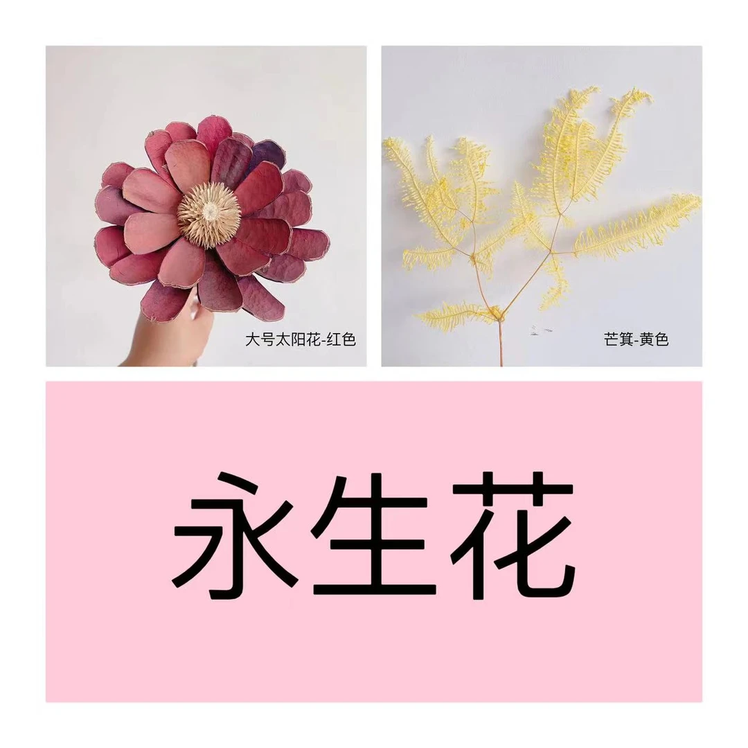 【风花小院】2号链接干花 永生花  展示链接套餐花材家庭插花装饰