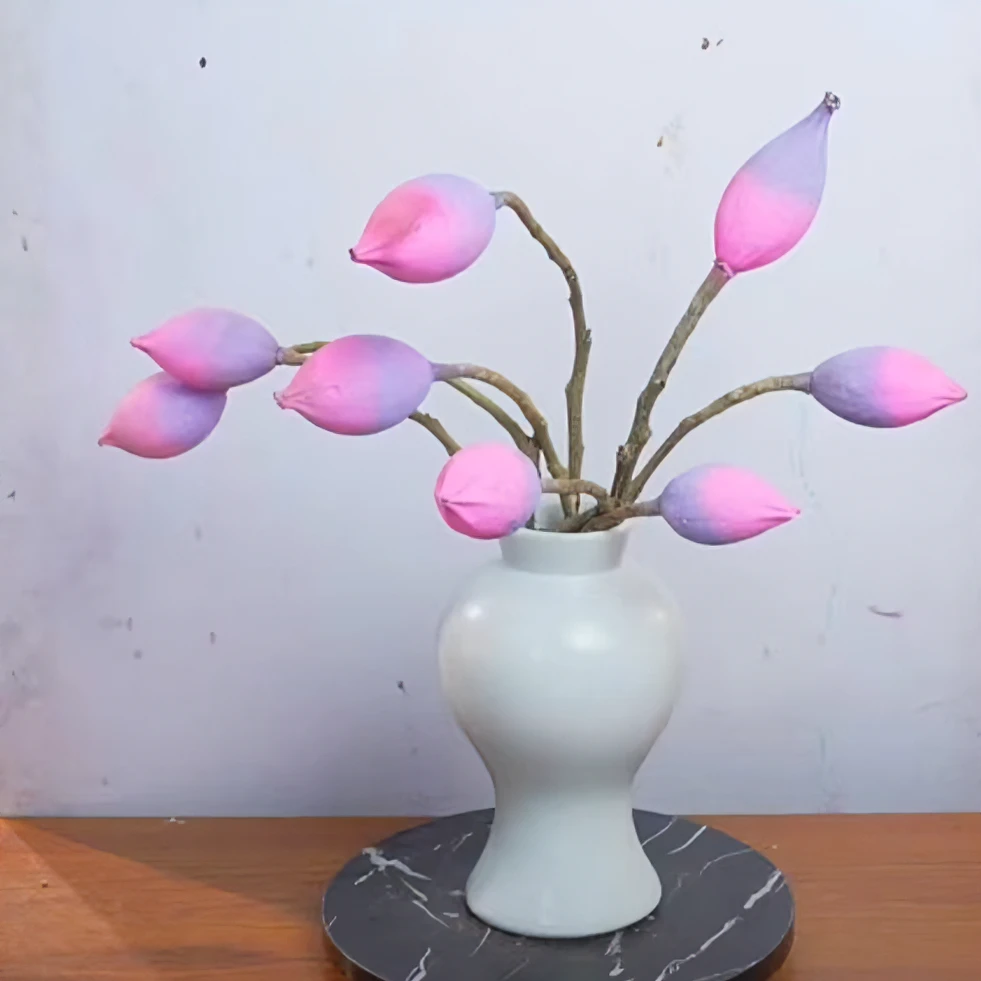 风花小院木荷花展示链接