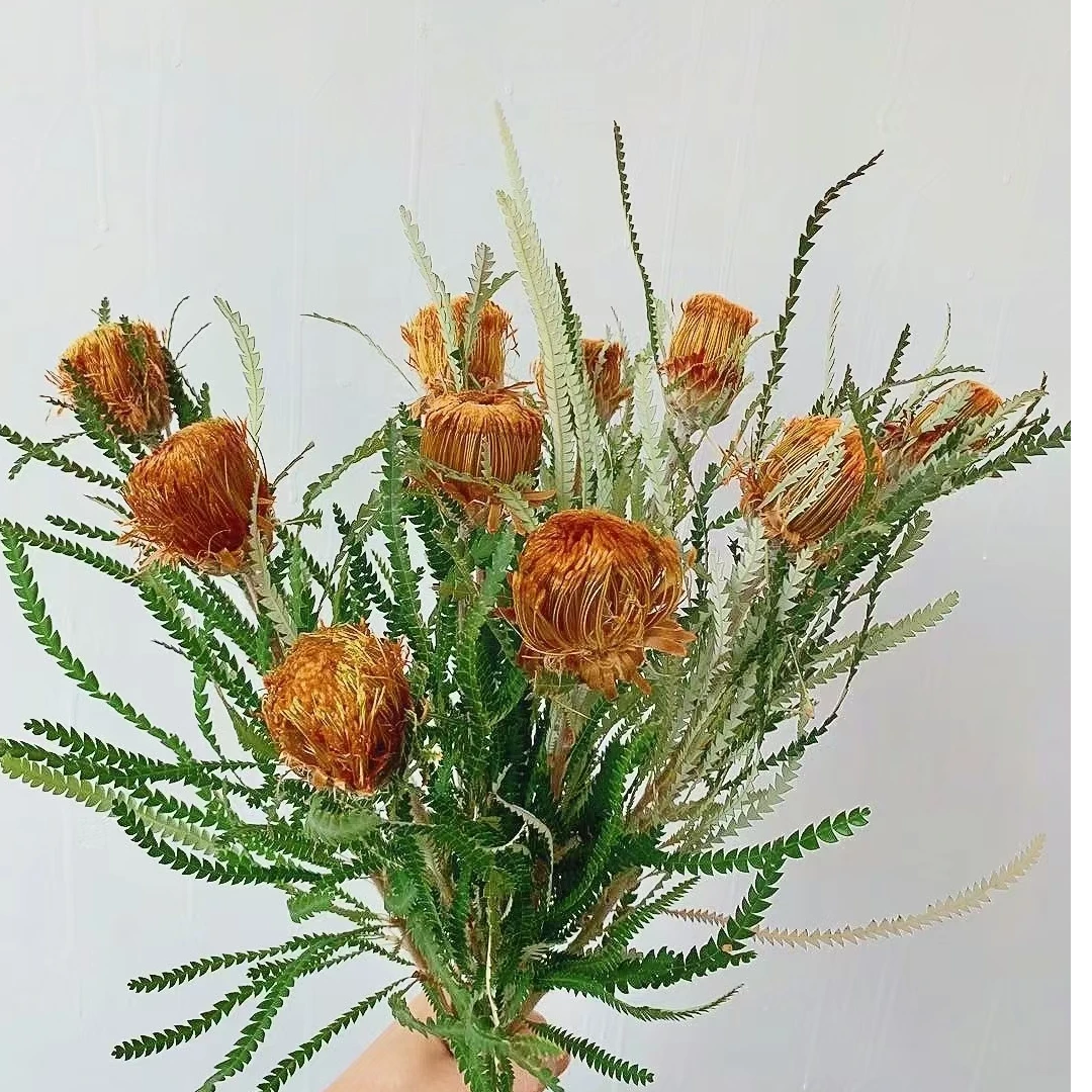 【风花小院】黄金佛塔南非进口花装饰