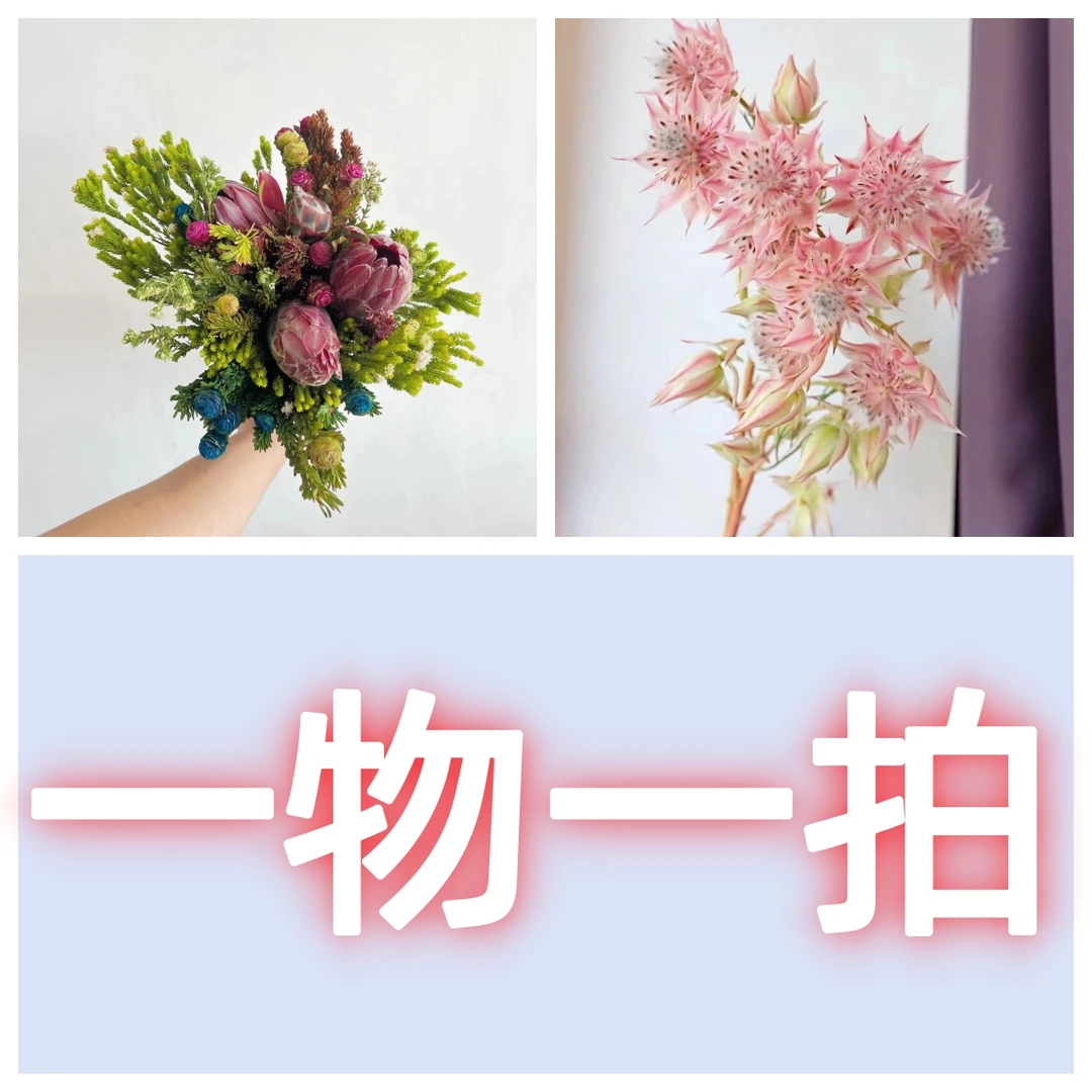【一物一拍直播间小双花艺师链接】 高端进口花材顺丰包邮